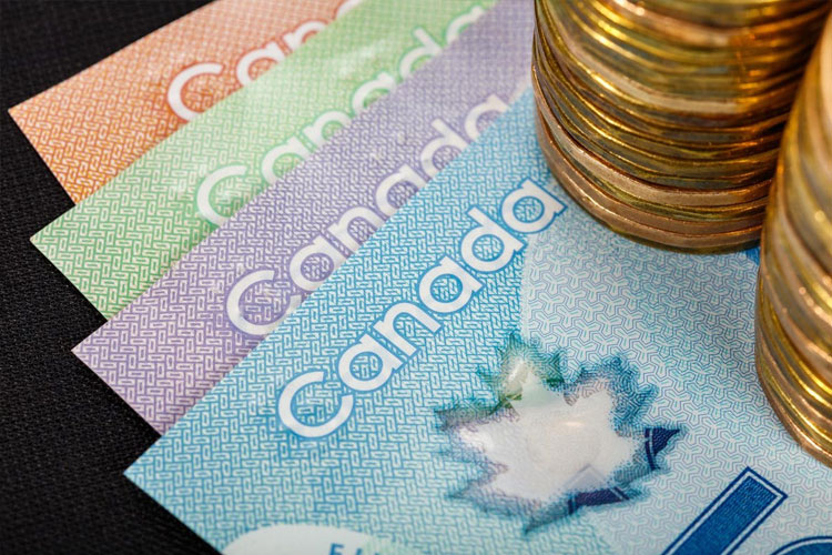 ویزای سرمایه گذاری کانادا شرایط و ضوابط