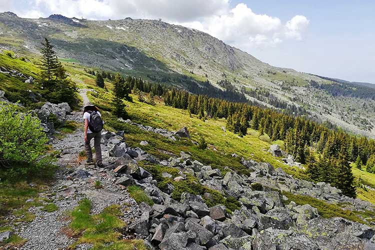 کوه Vitosha ؛ جاذبه های گردشگری بلغارستان